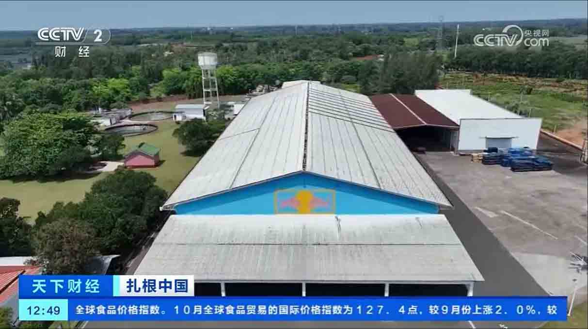 图片-5