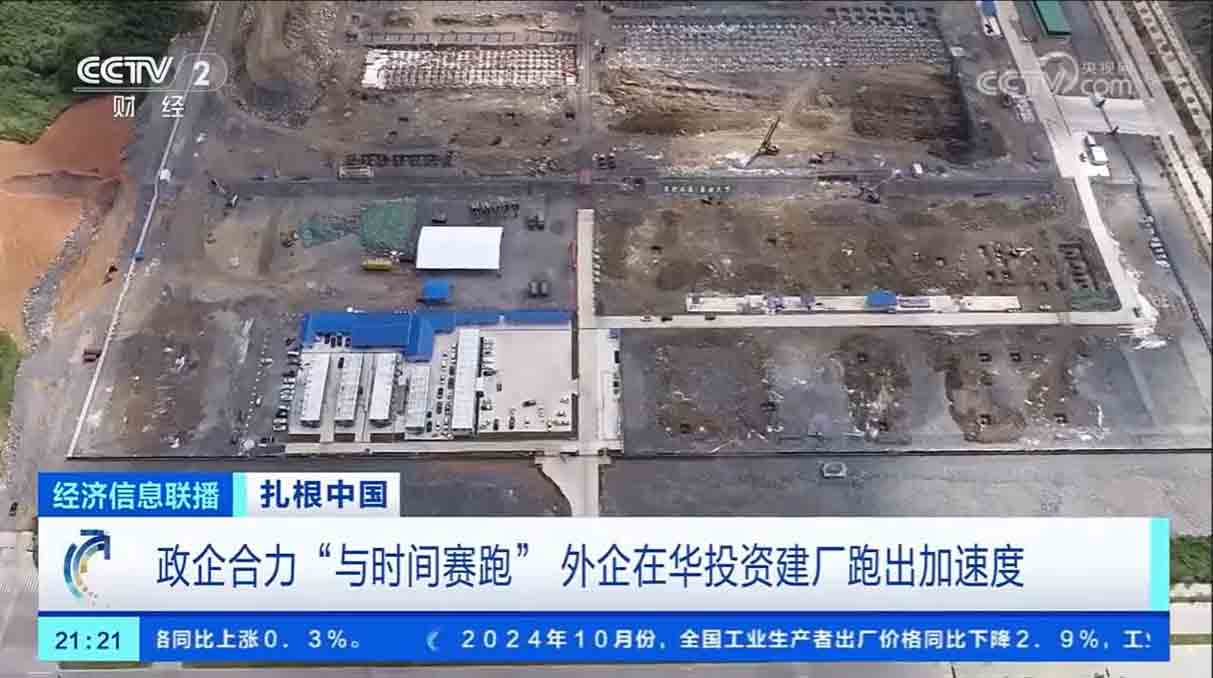 图片-10