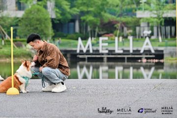 图片-4