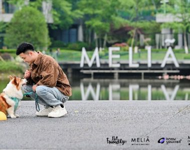 图片-4