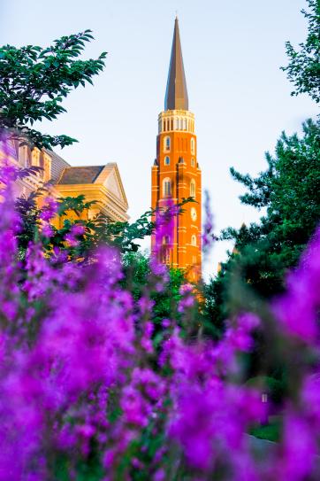 DSC03488-HDR