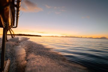 海上有太阳 AI 生成的内容可能不正确。