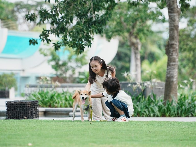 公园的椅子上坐着女人 AI 生成的内容可能不正确。