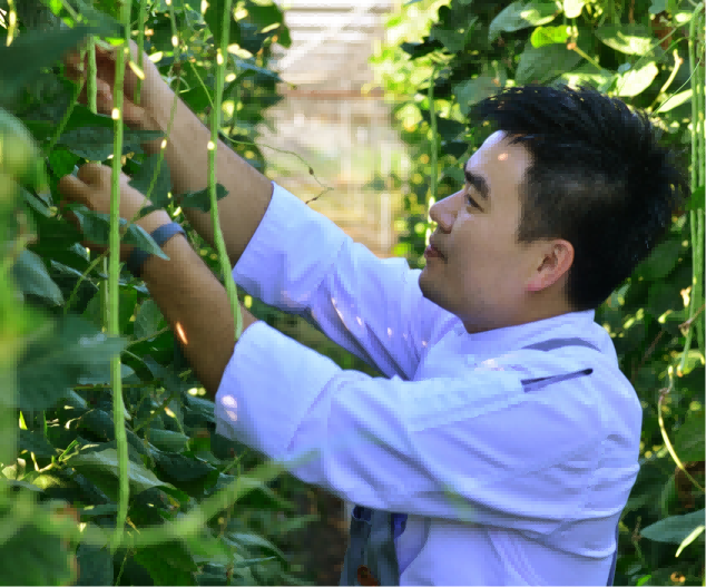 穿着蓝色衣服的男人在花园里 AI 生成的内容可能不正确。