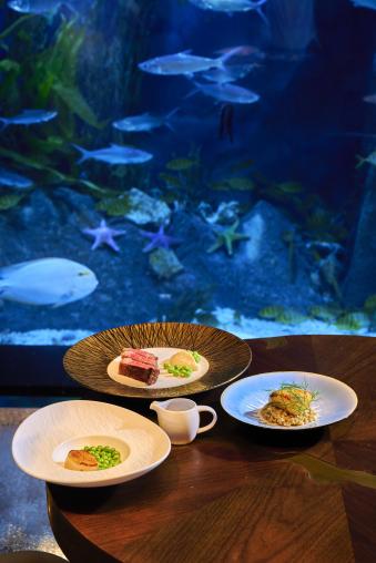 /private/var/folders/98/37jxbxrx6g3748350t304j8c0000gn/T/com.kingsoft.wpsoffice.mac/picturecompress_20250924173118/output_1.jpgoutput_1