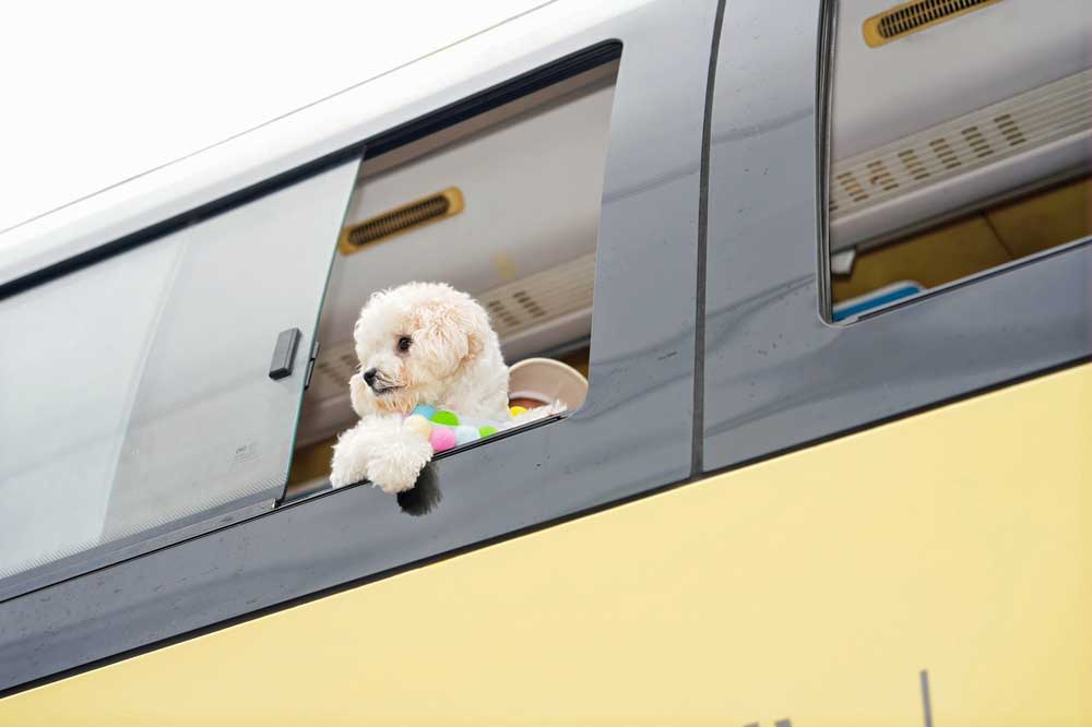 2f7eb3e6872e90e678961789e0e0214