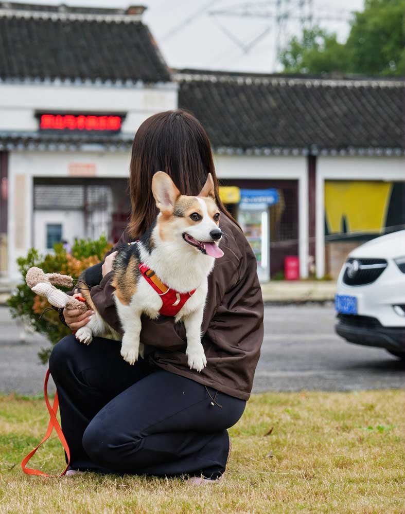 cd39ef996762a1d348ffa152b3128e8